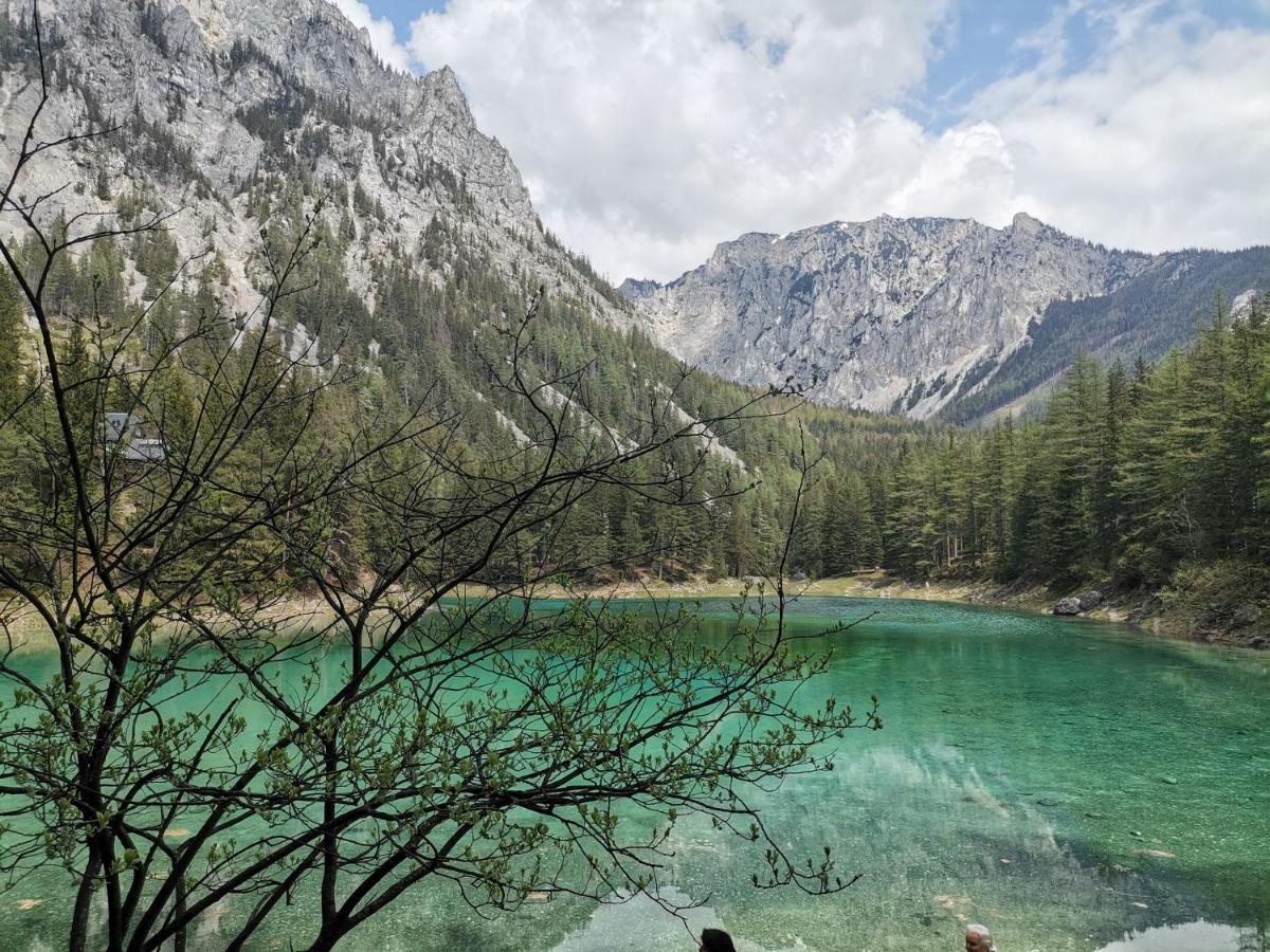 Haus Bergblick Fruehstueckspension Oberort Luaran gambar