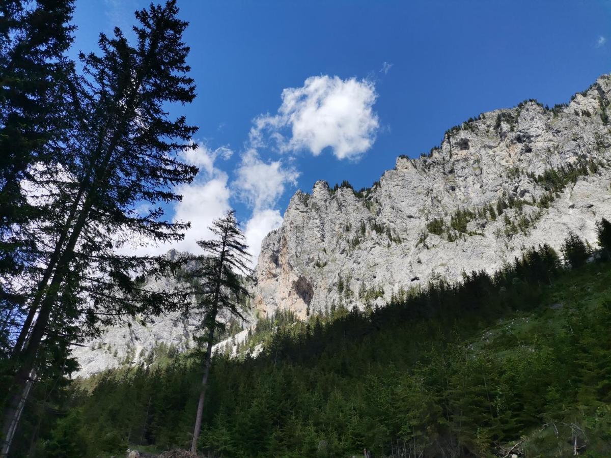 Haus Bergblick Fruehstueckspension Oberort Luaran gambar