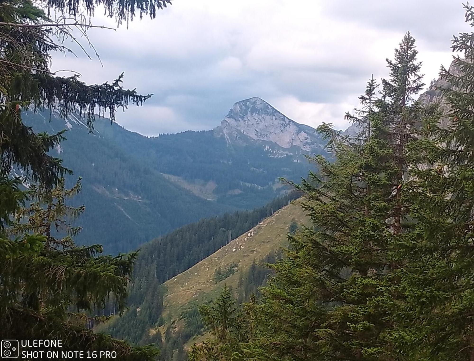 Haus Bergblick Fruehstueckspension Oberort Luaran gambar