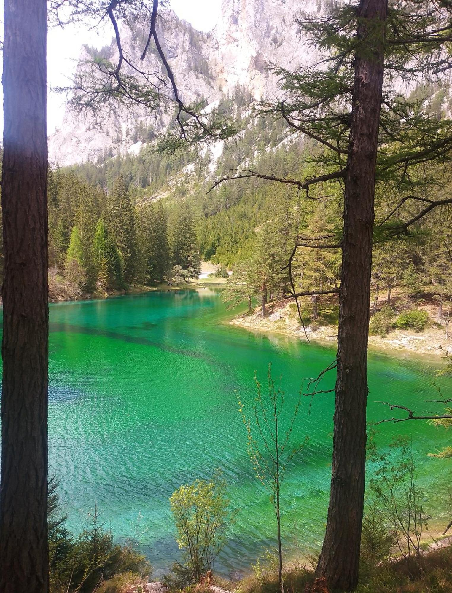 Haus Bergblick Fruehstueckspension Oberort Luaran gambar