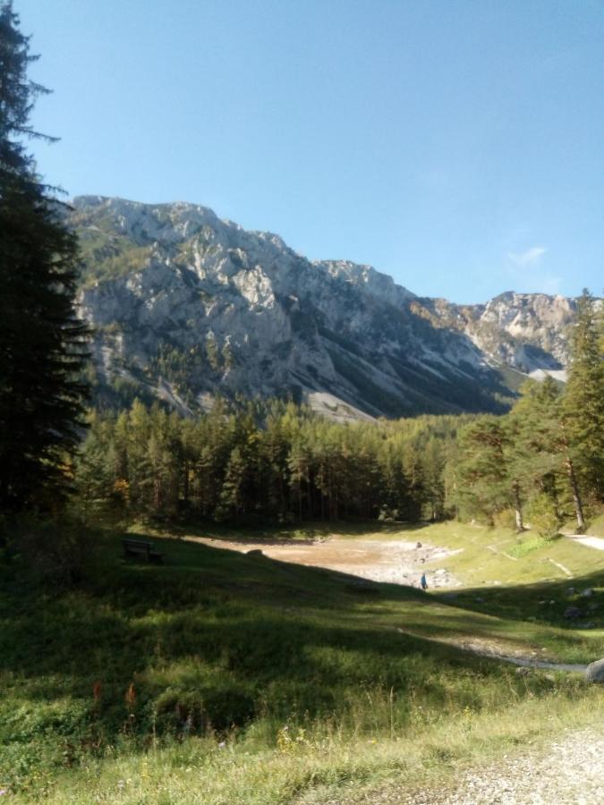 Haus Bergblick Fruehstueckspension Oberort Luaran gambar